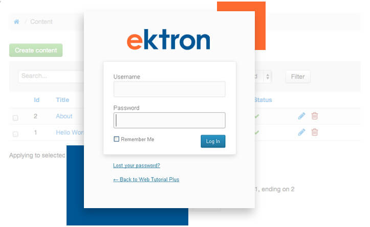 Ektron Integration