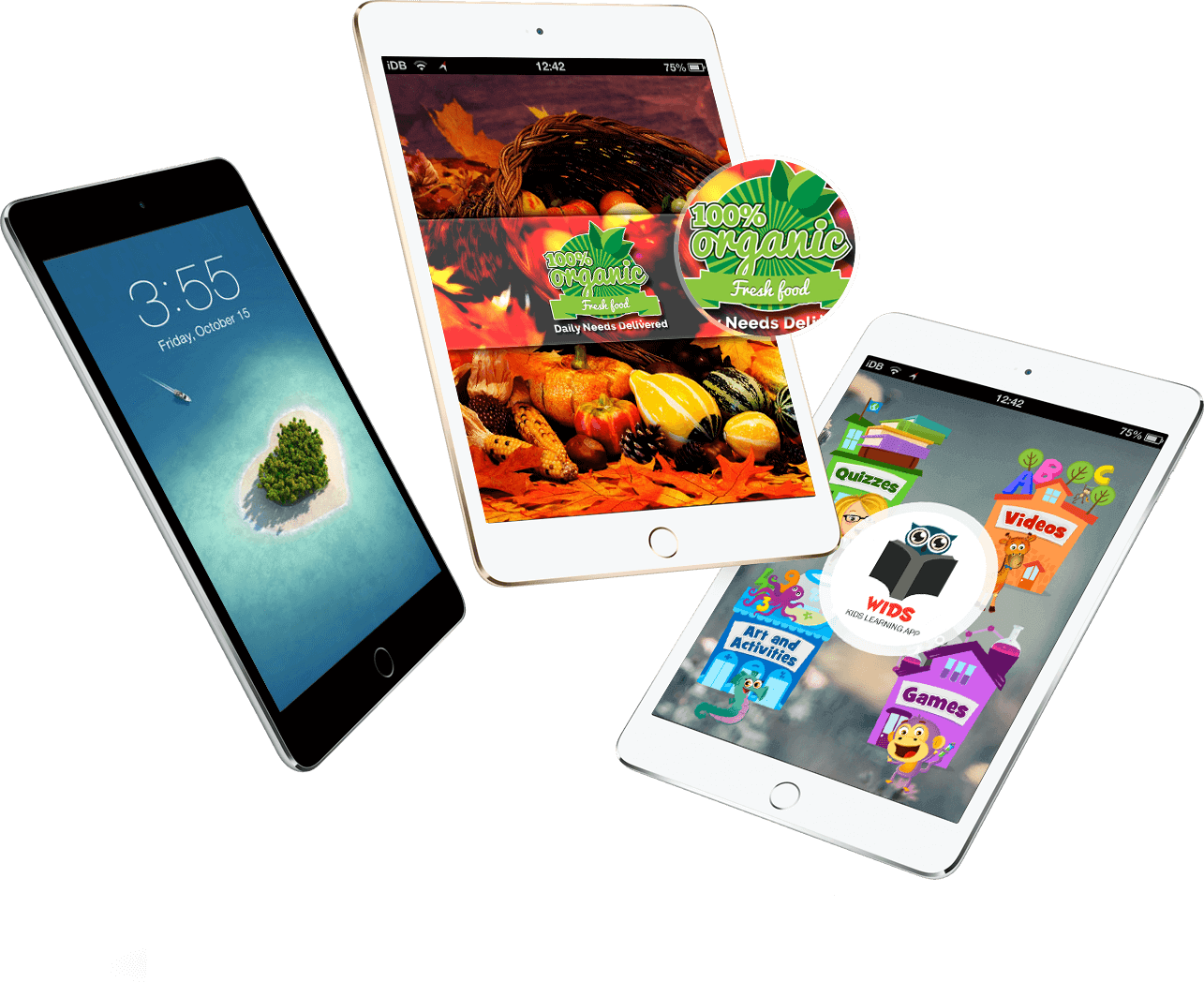 iPad App Development